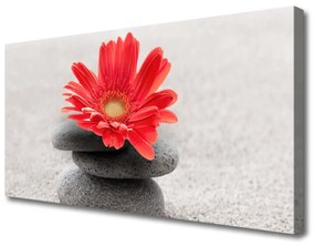 Vászonkép gerbera virág 100x50 cm