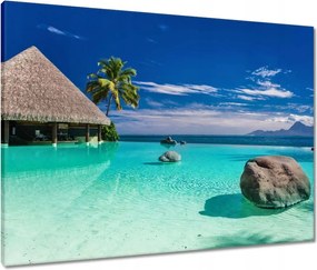 Vászonkép 80x60 Trópusok Tájkép Pálmafák