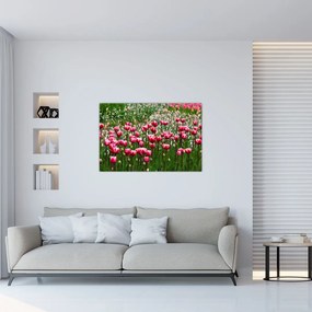 Tulipán képe (90x60 cm)