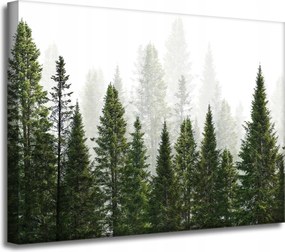Vászonkép Esőerdő Természet Fák 40x30 cm