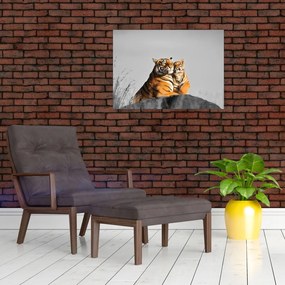 Kép - Tigris és a kölyke, fekete-fehér változat (üvegen) (70x50 cm)