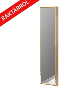 12F-390 Lia tükör arany 28x118cm