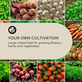 Blumfeldt Blum High Grow Straight, magaságyás, 100 x 60 x 100 cm, 600 l, acél