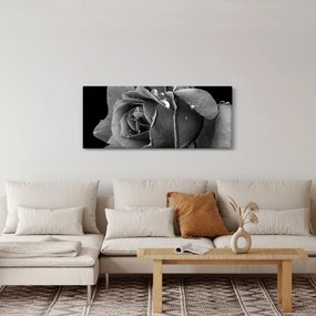 Rózsa képe - fekete fehér (120x50 cm)