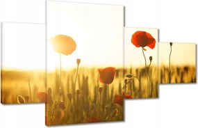 Képek 130x80 Pipacsok napfelkeltekor