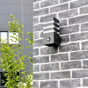 Kültéri fali lámpa TEKSAS szenzorral 1xE27/12W/230V IP44 antracit