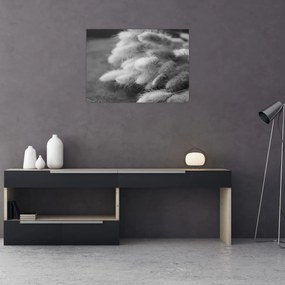 Üveg kép - nyúlfarknyi fű az asztalon (70x50 cm)