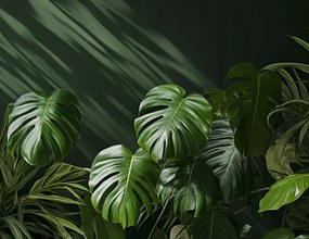 Poszter 65x50cm Suttogó levelek