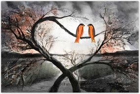 Poszterek 120x80 Összefont fák Szerelem