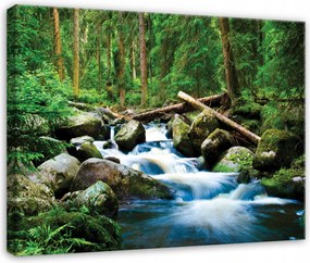 Vászonkép Erdő Patak Fák Természet Tájkép Hálószoba Nappali Vászon 40x30