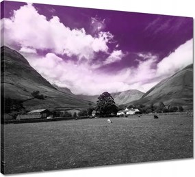 Vászonkép 50x40 Lila égbolt