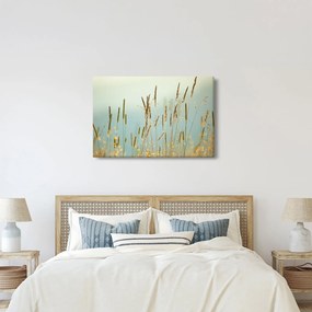 Kép - Réti pillanat (90x60 cm)