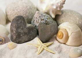 Fotótapéta - Kövek és kagylók a tengerparton (152,5x104 cm)