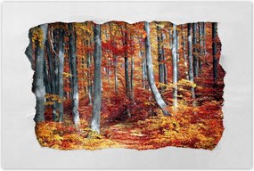 Poszterek 60x40 Tájkép