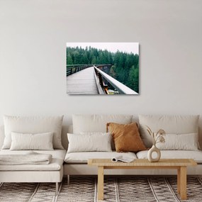 Kép - Híd a fák csúcsán (üvegen) (70x50 cm)