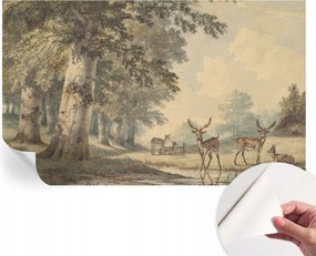 Dekoratív öntapadós fotótapéta Hálószobába Erdei nyugalom 416x254 cm