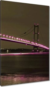 Vászonképek 80x120 Szépia fotó