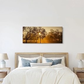 Napkelte kép (120x50 cm)