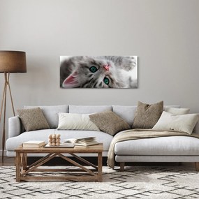 Kép - Macska zöld szemekkel (120x50 cm)