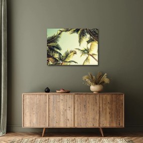 Kép kókuszpálmával (70x50 cm)