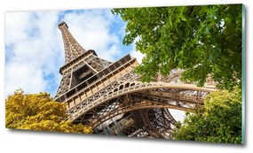 Üvegkép falra Párizsi eiffel-torony osh-96010158
