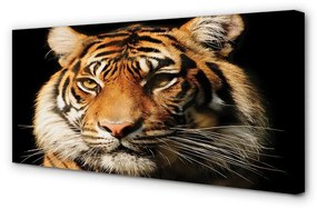 Canvas képek Tigris 140x70 cm