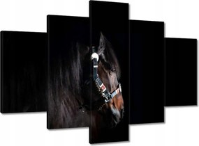 Vászonkép 150x105 Ló ló fekete alapon