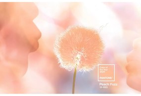 Narancssárga kerámia termobögre 175 ml Cortado Peach Fuzz 13-1023 – Pantone