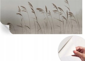 Öntapadós tapéta Fali furnér 3D hatás Fű a köd között 250x104 cm