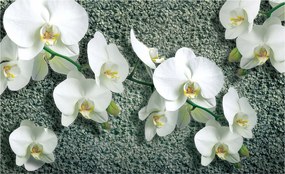 Flizelin fotótapéta Fehér orchideák a hálószobába finomság 416x254 +ragasztó