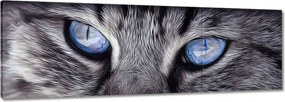 Vászonkép 60x20 Cica Cicák