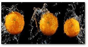 Akril üveg kép Narancs és víz oah-63932923