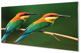 Üvegképek Színes papagáj egy ágon 100x50 cm