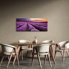 Kép - Levendulamező naplementében (120x50 cm)