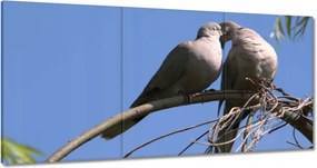 Festmények 180x90 Szerelem Érzés Párkapcsolat