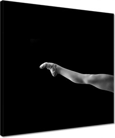 Vászonkép 40x40 Balerina