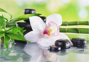 Fotótapéta Flizelin Dekoratív Hálószoba A természet nyugalma 208x146 Ragasztó