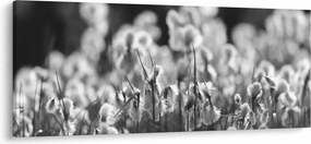 Kép - Nyári rét (120x50 cm)
