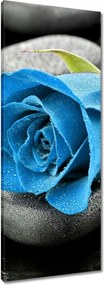 Vászonkép 40x100 Kék rózsa kövek