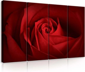 Vászonkép 120x80 Vörös rózsa virágszirmok szenvedély szerelem elegancia természet