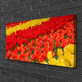 Vászonfotó tulipán virágok 140x70 cm