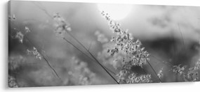 Kép - Őszi rét (120x50 cm)