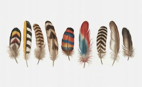 Fotótapéta Dekoratív Fali Tapéta Képek Színes tollak 416x254