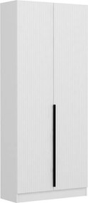 Noah - 8253