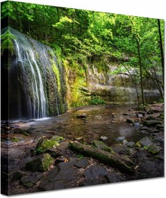 Vászonkép 60x60 Trópusi erdő vízesés