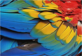 Fotótapéta Flizelin Dekoratív Iroda Szivárvány tollak 152x104 Ragasztó