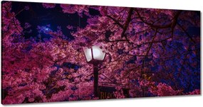 Képek 180x90 Mély éjszaka Lampa Virágok