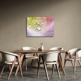 Kép - Cseppek (70x50 cm)
