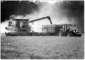 Poszterek 100x70 Aratás Traktor Kombájn