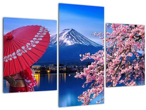 Kép - Kilátás a csúcsra, Japán (90x60 cm)